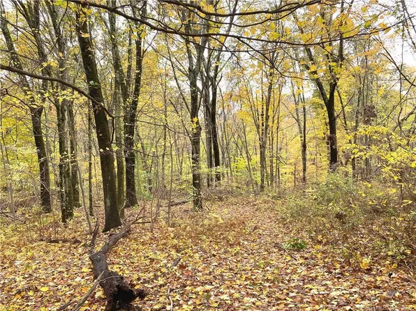 00 Phaeton Drive, Roxbury, CT 06783