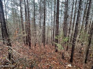 Harley Davidson Ln, La Follette, TN 37766