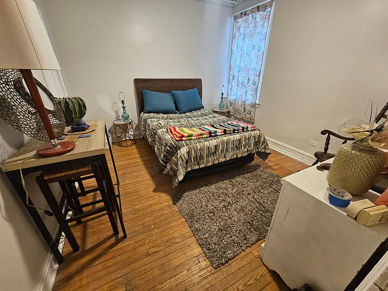 2423 W Lunt Ave #1S — Photo 8