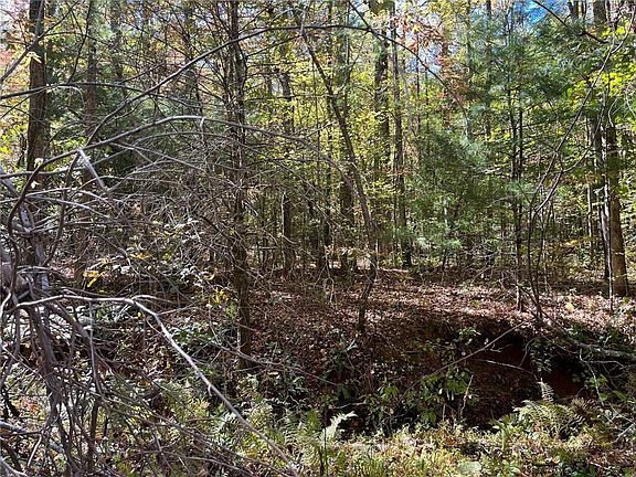 2nd image of 0 Little Mountain Rd #704