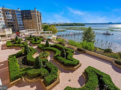 1250 S Washington St UNIT 305, Alexandria, VA, 22314