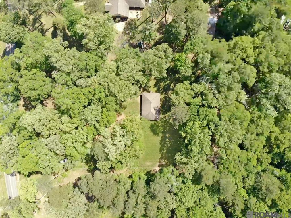 11232 Buddy Ellis Rd, Denham Springs, LA - View 3