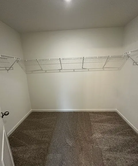 6231 Old Tavern Dr — Photo 11