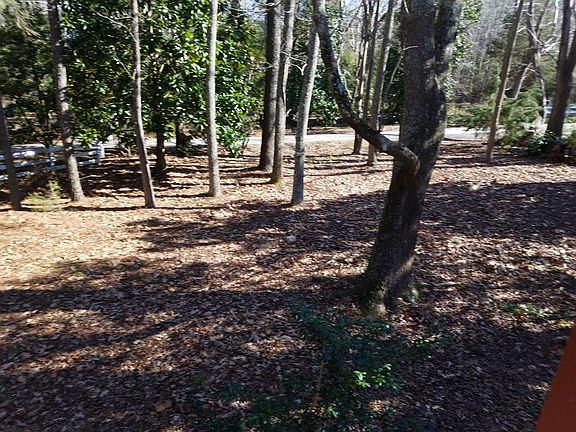 View from Living Room