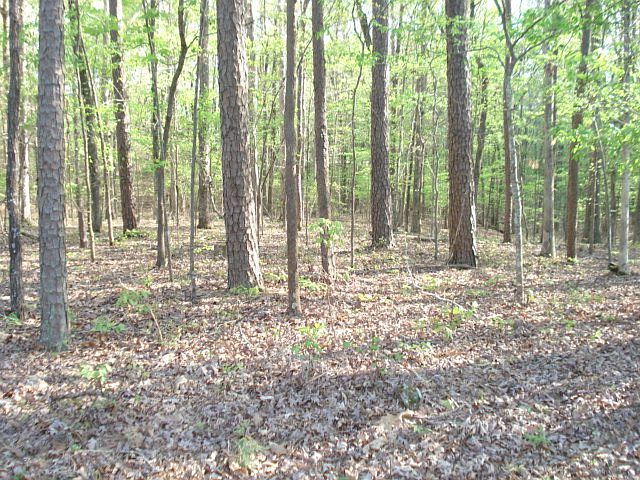 2nd image of 177 Sandpiper Point #177