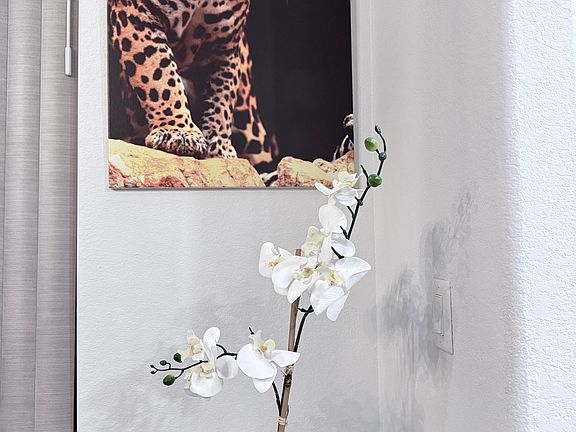 I'm speechless! This corner brings such joy_the tiger is both powerful and stunning!
