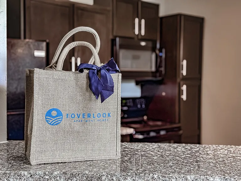 Overlook Apartments - OVL — Photo 18