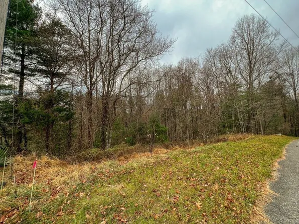 115 Old Hollow Trl, Fancy Gap, VA 24328