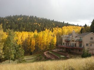 335 County Road 281, Woodland Park, CO 80863