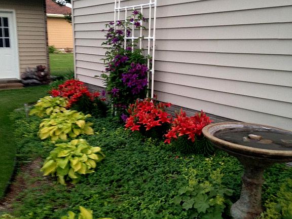 Rear - Landscaping