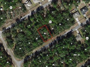 245 W Ruska Pl, Citrus Springs, FL 34434