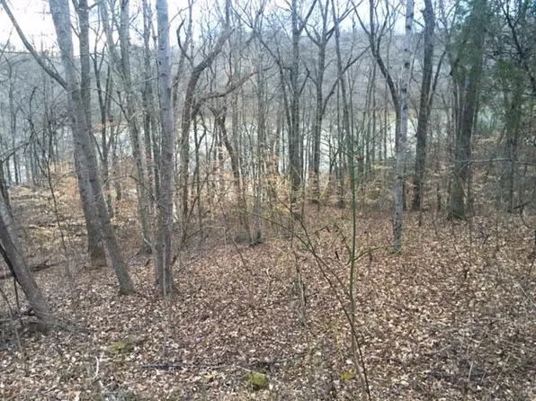 558 Norris Shores Dr, Sharps Chapel, TN 37866