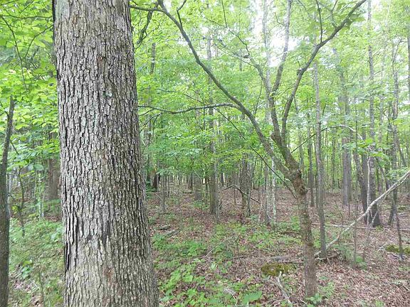4th image of 24 Maple Springs Ln Lot 24