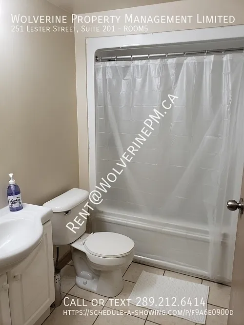 5 unit Student condo minutes from WLU + UW — Photo 2