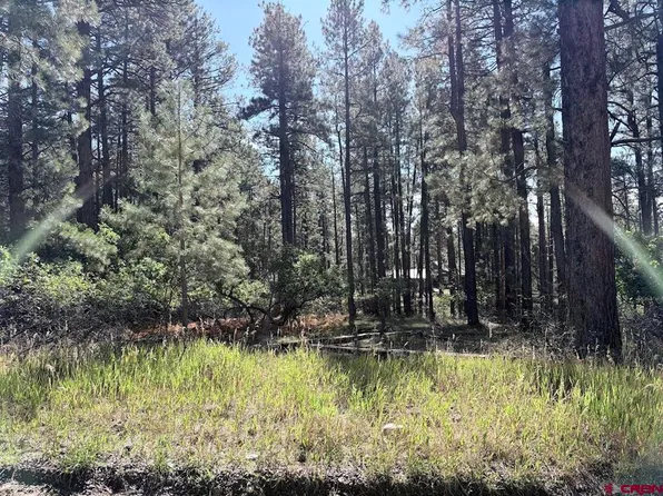 332 Lake View Drive, Bayfield, CO 81122