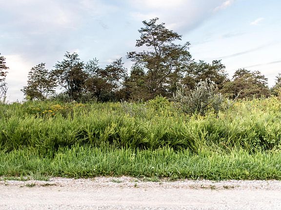 2nd image of Racoon Ln Lot 80