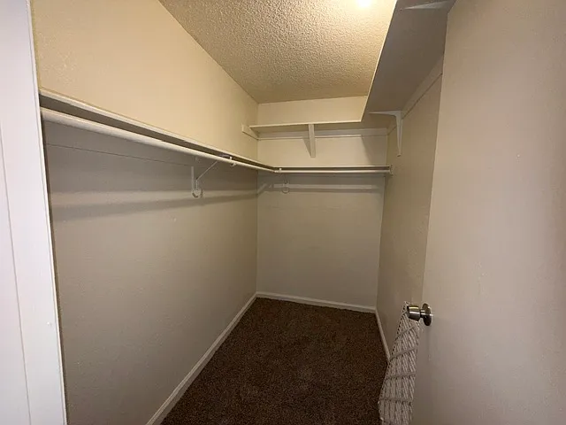 6540 Pleasant Plains Way — Photo 9
