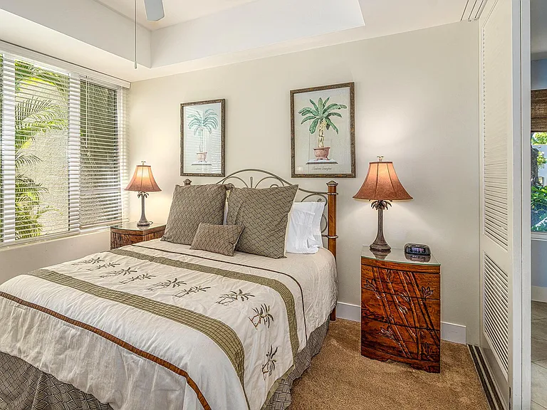 Wailea Alanui Dr — Photo 23
