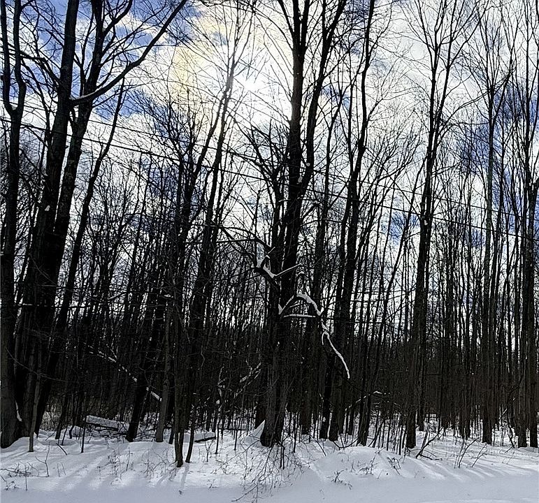 1st image of Tompkins Rd