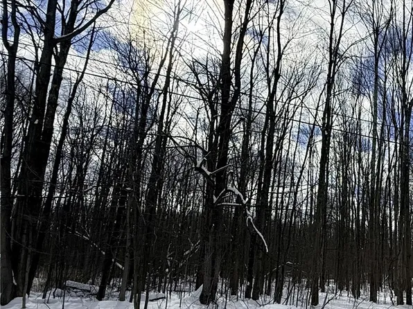 Tompkins Rd, Jefferson, OH 44047