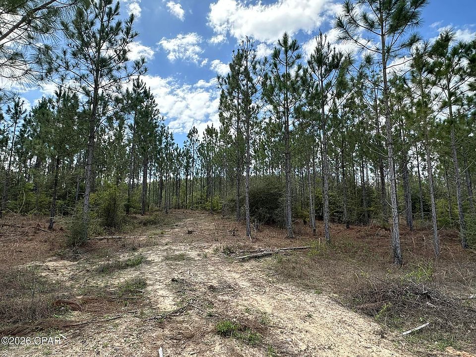 2nd image of TRACT 6418 Mattox Springs Rd #S2