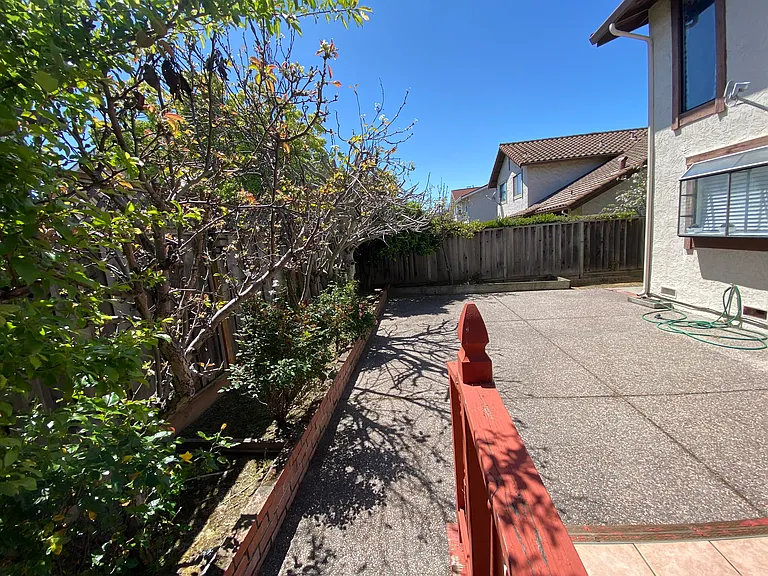 Low maintenance yard