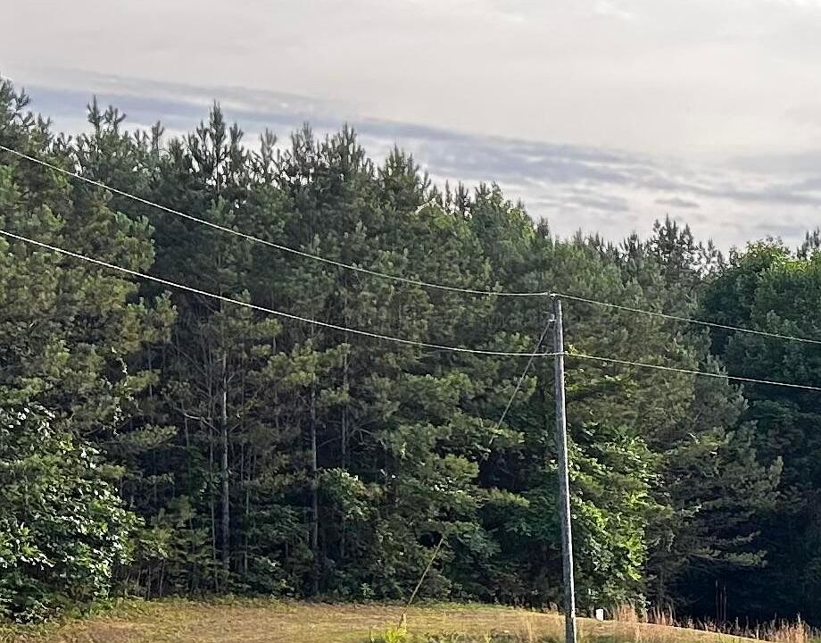 2nd image of 139 Sipsey Overlook Rd