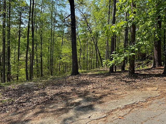 2nd image of 56 Cottonwood Ct