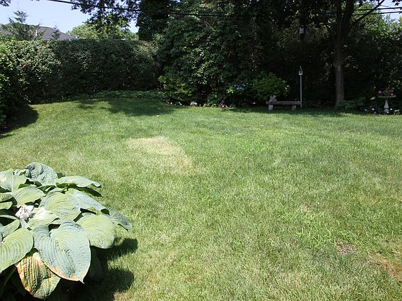 Rear Yard