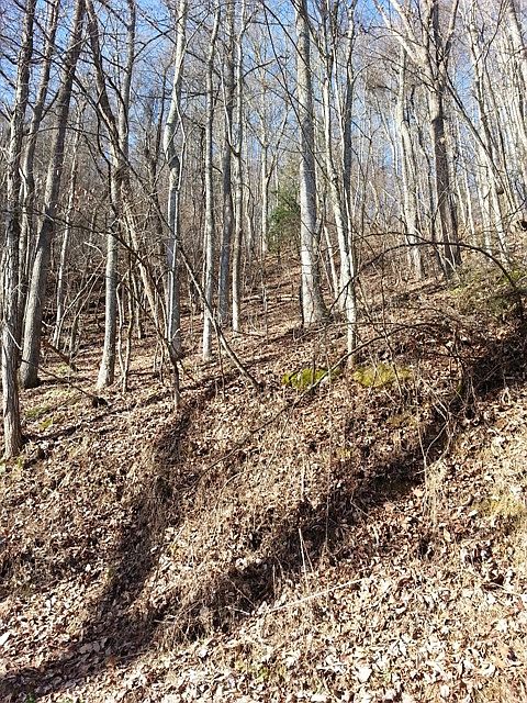2nd image of 2813 Overholt Trail
