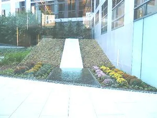 Rented by Douglas Elliman | media 9