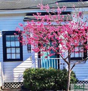 522 Blair St, Savannah, GA, 31401