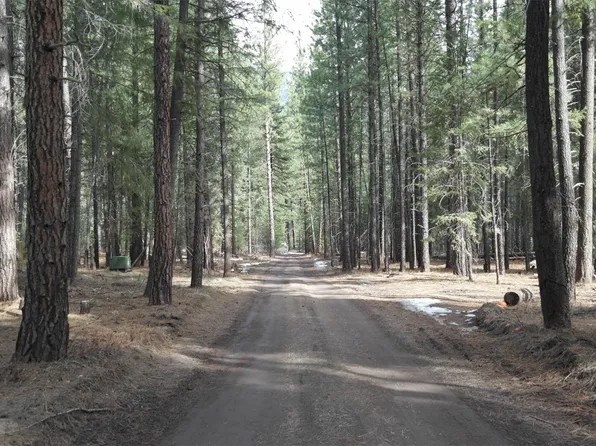 16 Davelaar Drive, Mazama, WA 98833