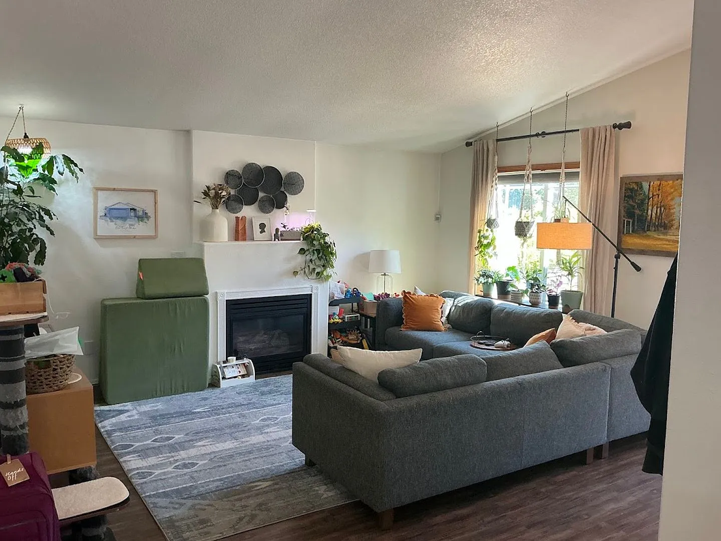 N Todd — Photo 3