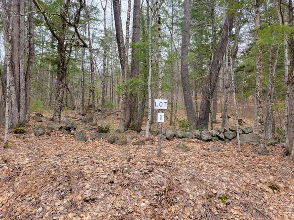 Lot #1 W West Fryeburg Road, Fryeburg, ME 04037
