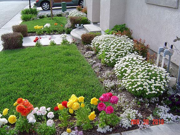 House Front - Right Side - Mar 2010