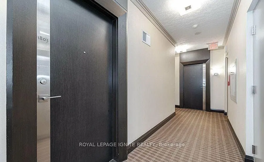 2 bed, $2,900 — Photo 4