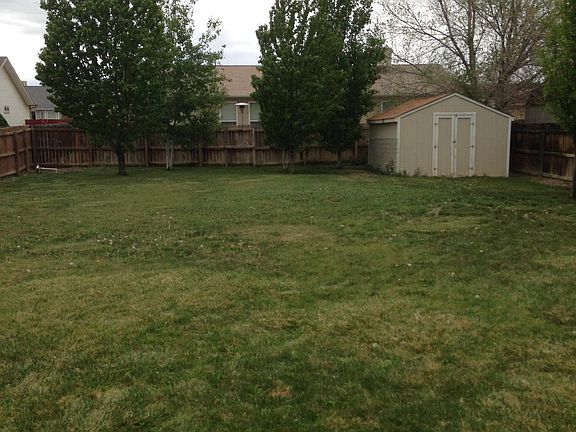 Huge back yard with cherry and apple trees