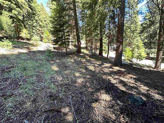 4th image of 721 Pine Canyon Rd