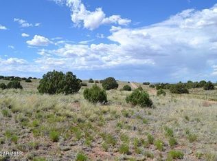 4498 Appaloosa Rd LOT 56, Snowflake, AZ 85937