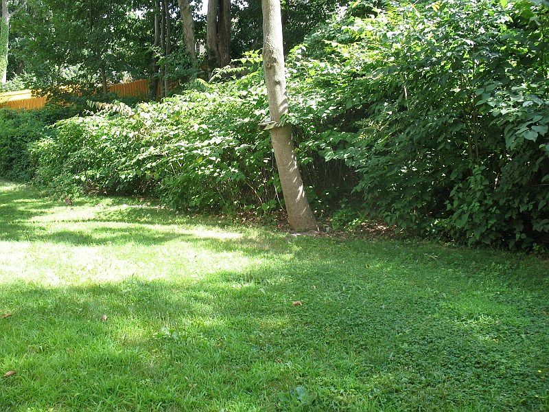 2nd image of 5 Edison Dr APT B