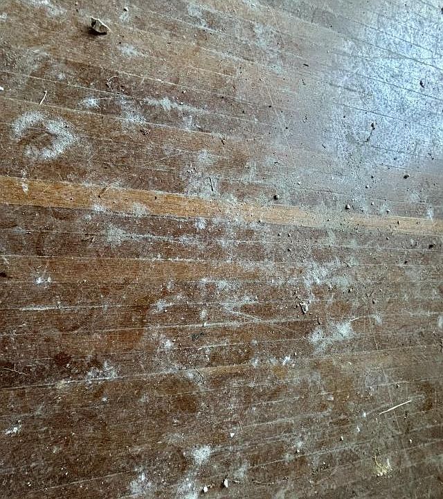 2nd image of 1823 Covert Ave