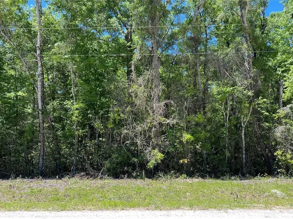 NE 642nd St Lot 7, Old Town, FL 32680