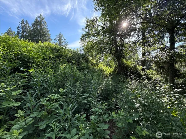 2229 97th Street SE, Lake Stevens, WA 98258