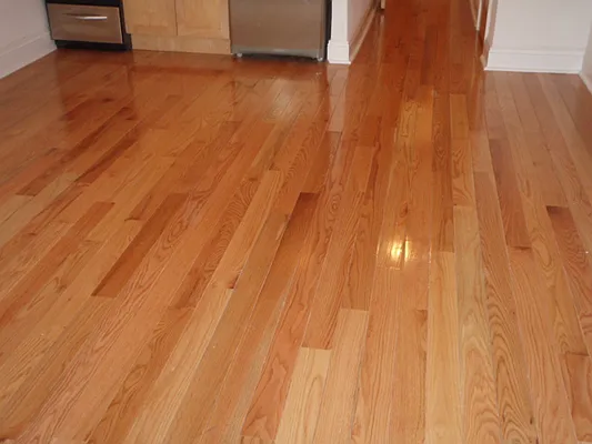 Rented by Beekman Street Realty | media 6