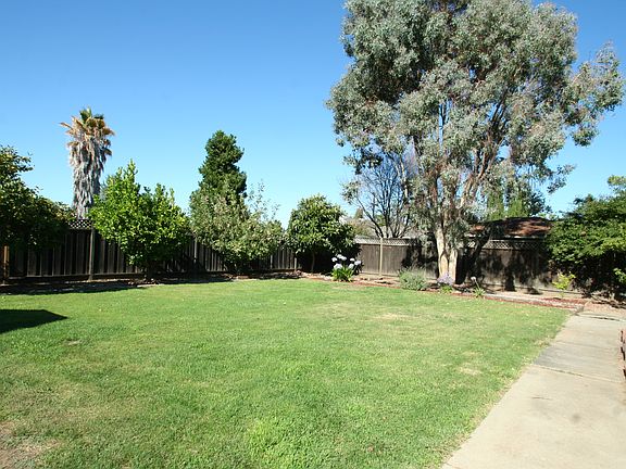 Expansive Backyard