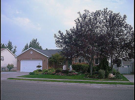 Nice shade trees front/back