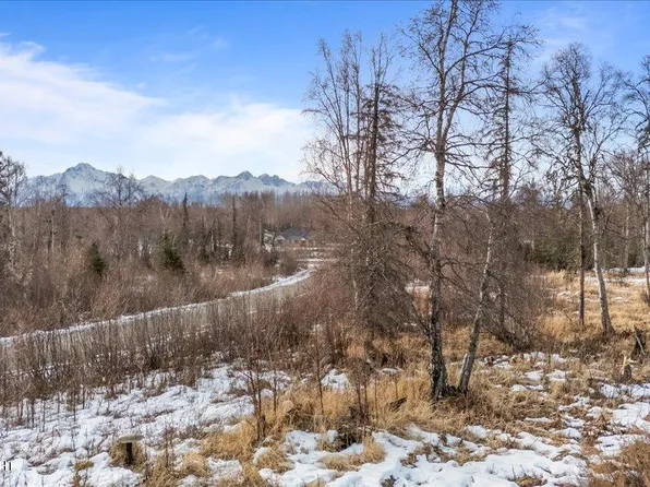 10090 N Resilience Cir, Palmer, AK 99645