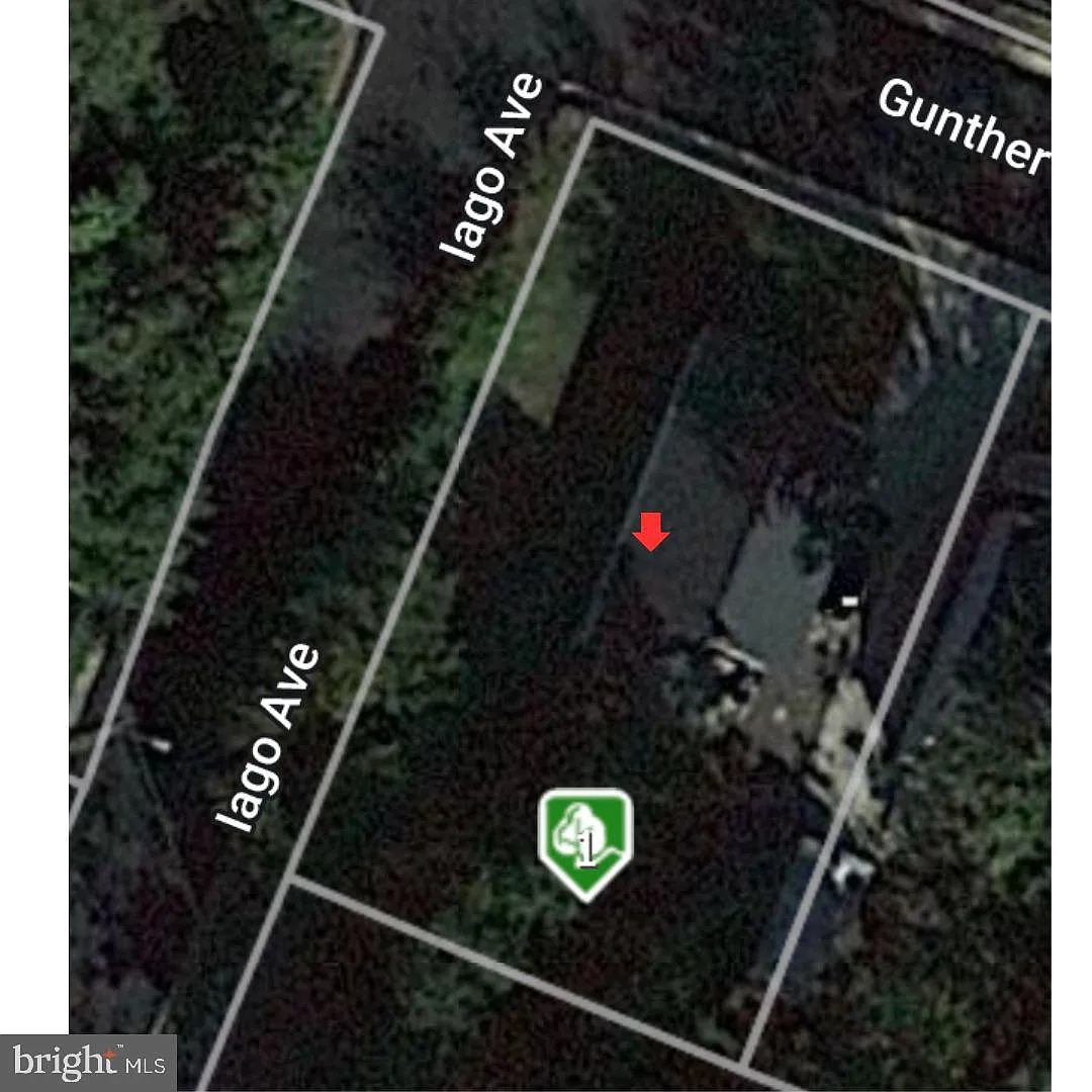 4843 Gunther St photo 1