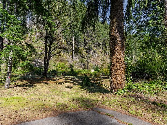 5th image of 47987 McKenzie Hwy